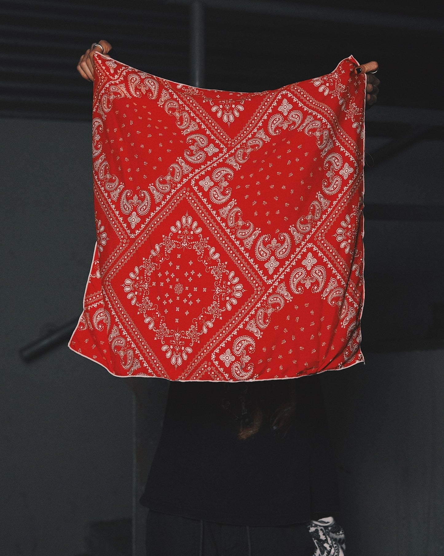 Хустка Бандана - косинка у стрітстайл стилі Ripe Cherry - Kashket.me Taton.shop