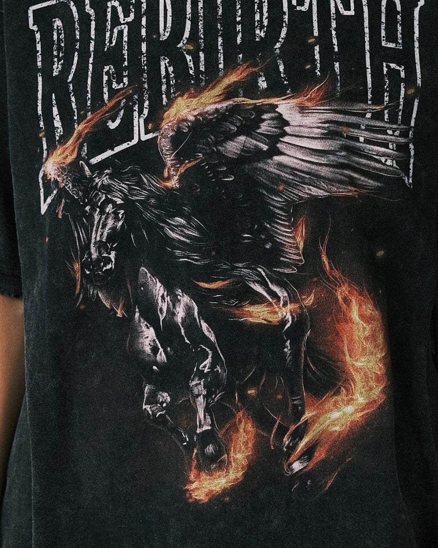 T-shirt Футболка «Пегас» M - Tsupkyi (Цупкий) Taton.shop