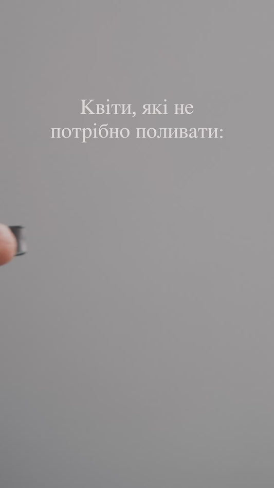 Forest Daisy Earrings